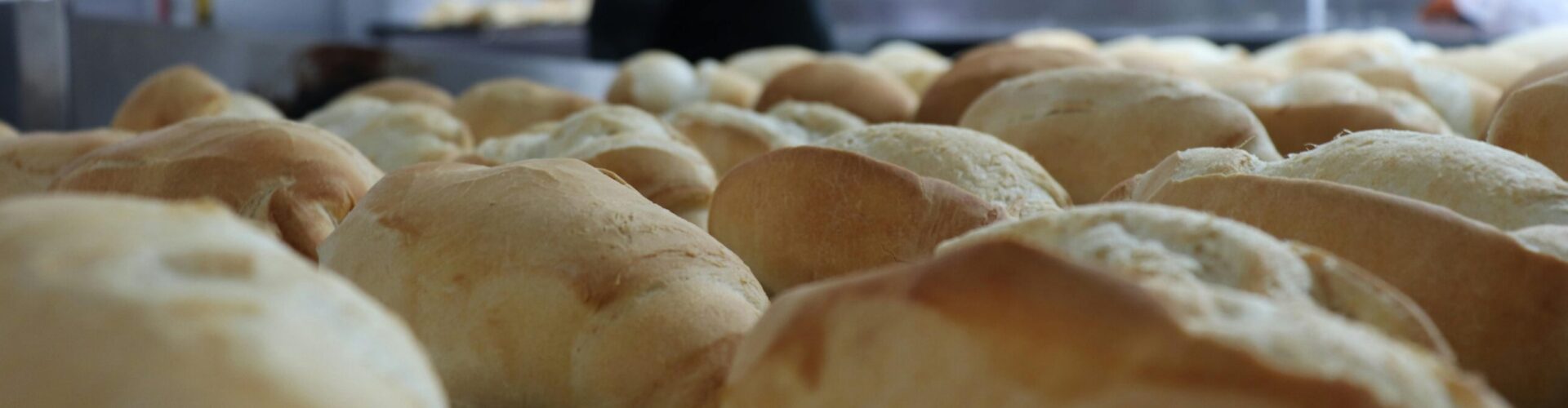 Close-up of freshly baked bread in a bakery kitchen, showcasing golden crusts and a baker in the background.